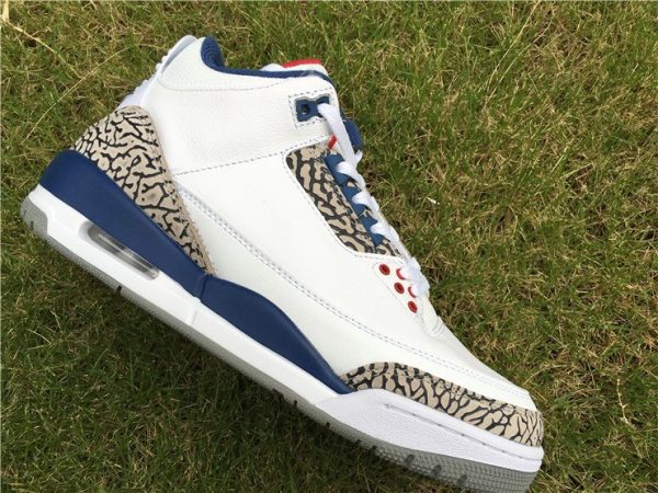 Air Jordan 3 Retro OG True Blue panel