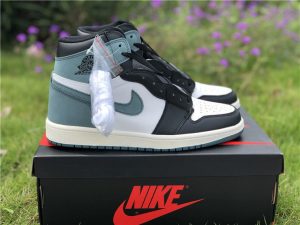 Air Jordan 1 Retro ALL THOSE AWARDS Clay Green