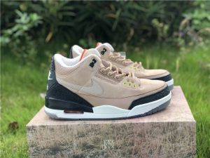 Air Jordan 3 JTH Bio Beige 2018