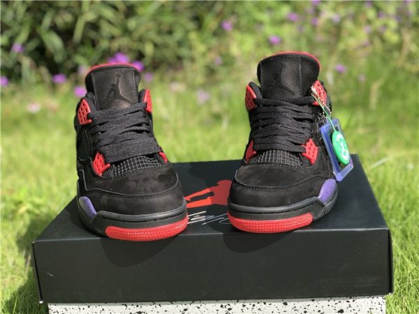 Air Jordan 4 NRG Raptors front