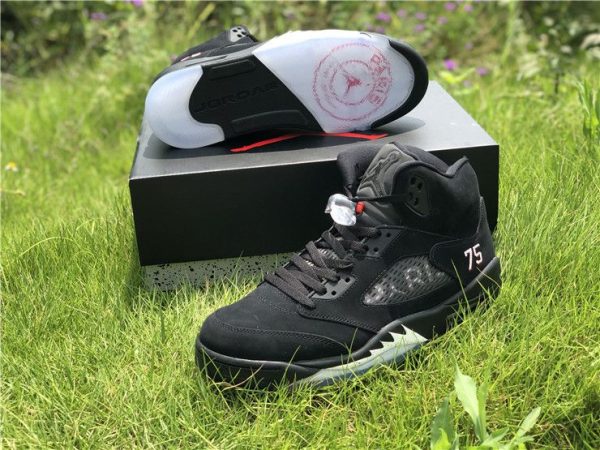 Air Jordan 5 Retro Bcfc paris Saint-germain for sale