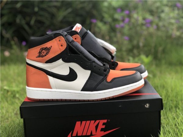 Jordan 1 Satin Shattered Backboard