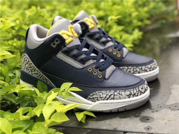 Jordan 3 Michigan PE Navy Maize Yellow sale