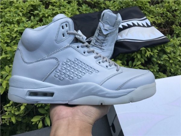 Air Jordan 5 Premium Pure Platinum