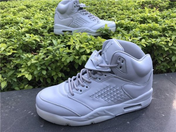 Air Jordan 5 Premium Pure Platinum offer