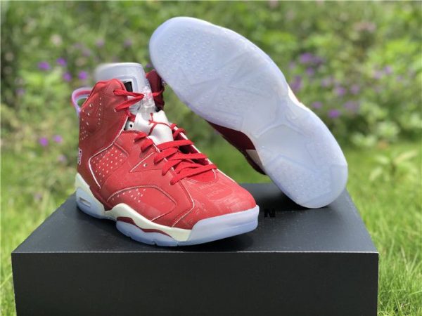 Air Jordan 6 Retro X Slam Dunk sale