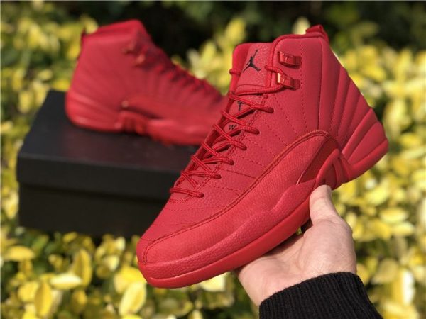 Air Jordan 5 Bred Black University Red on ahnd