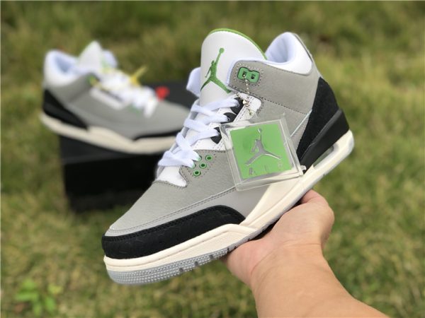 Air Jordan 3 Retro Chlorophyll Light Smoke Grey shoes