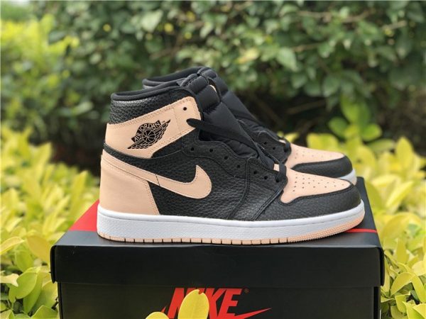 Air Jordan 1 High OG Crimson Tint