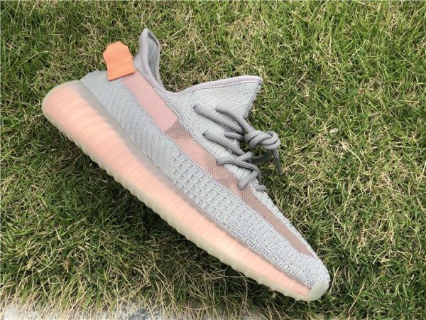 adidas Yeezy Boost 350 V2 True Form sale