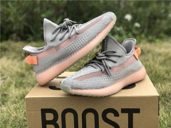 adidas Yeezy Boost 350 V2 True Form trainer