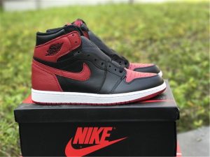 Air Jordan 1 Retro High Banned 2016