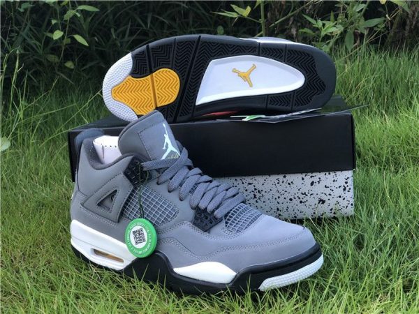 Air Jordan 4 Retro Cool Grey 2019 footwear