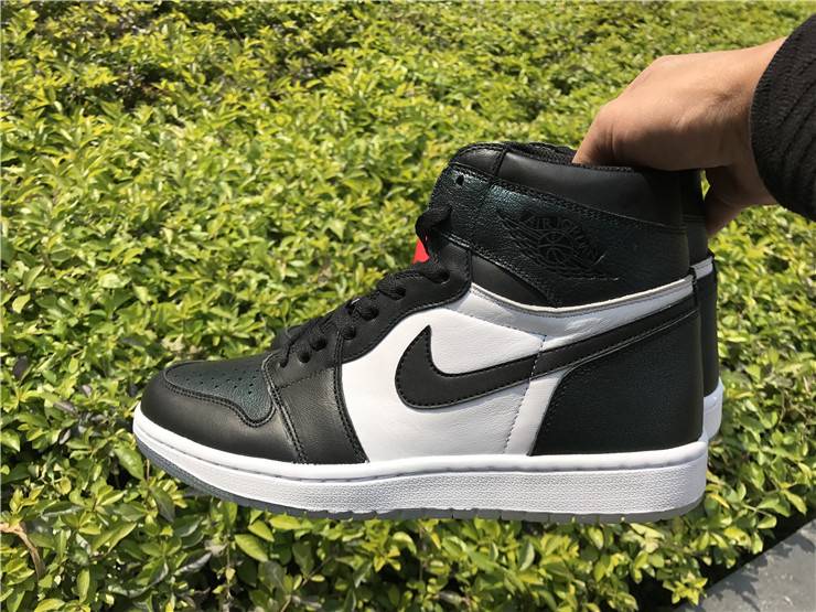 Jordan 1 All Star Chameleon shoes