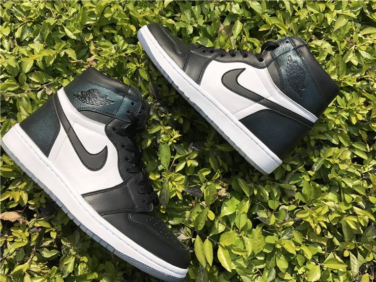 Jordan 1 Chameleon All Star shoes