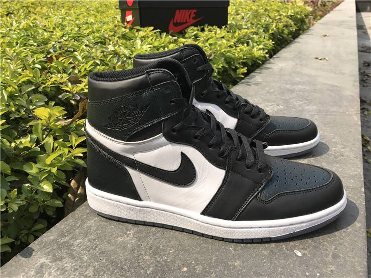 Jordan 1 Chameleon All Star