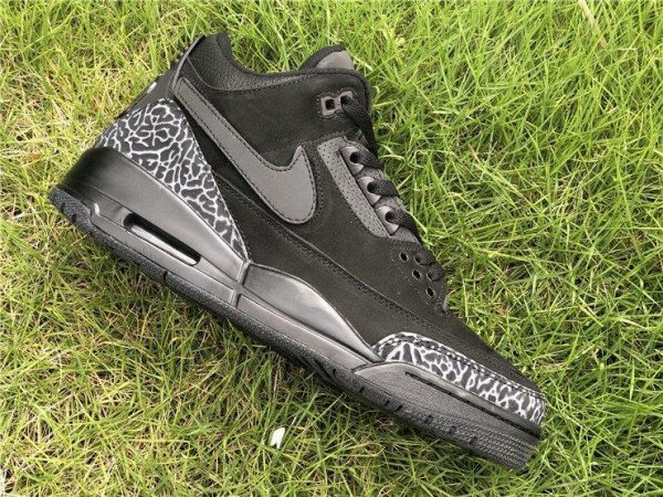 Jordan 3 Oregon Black Dark Grey trainer