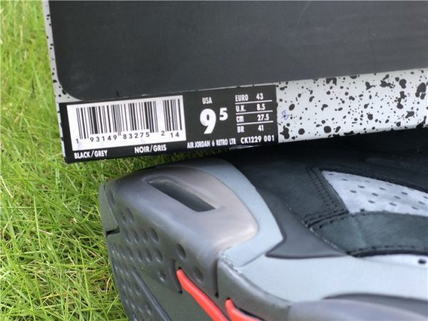 Jordan 6 PSG Iron Grey Infrared 23 info