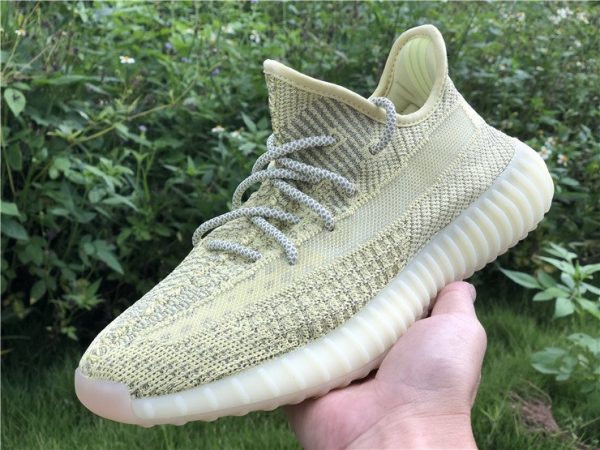 Yeezy Boost 350 V2 Antlia Reflective