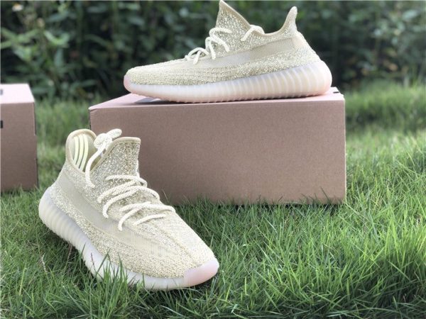 Yeezy Boost 350 V2 Antlia Reflective panels