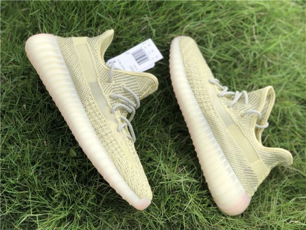 Yeezy Boost 350 V2 Antlia Reflective sidewall