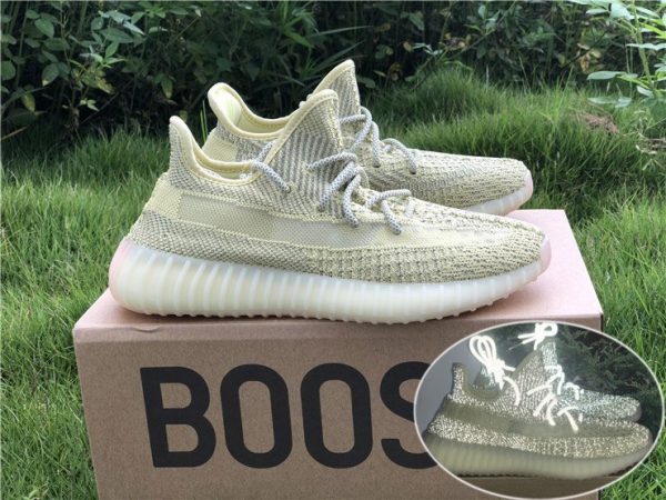 adidas Yeezy Boost 350 V2 Antlia Reflective