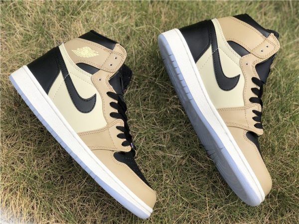 Air Jordan 1 Mushroom panel