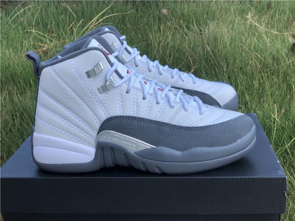 2019 Air Jordan 12 Dark Grey