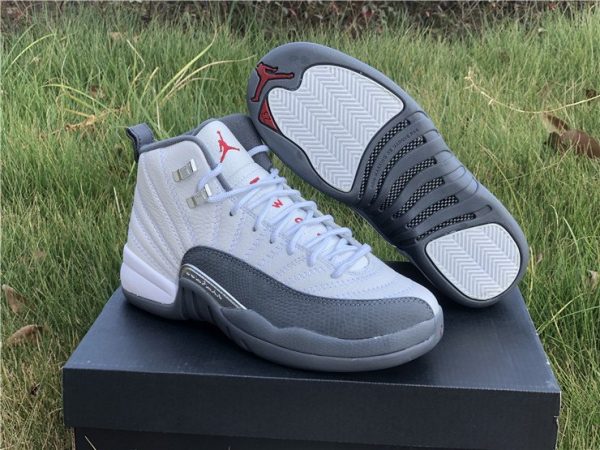 Air Jordan 12 Dark Grey 2019 shoes