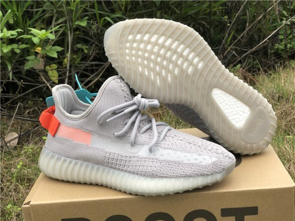 Tail Light adidas Yeezy Boost 350 V2 bottom sole