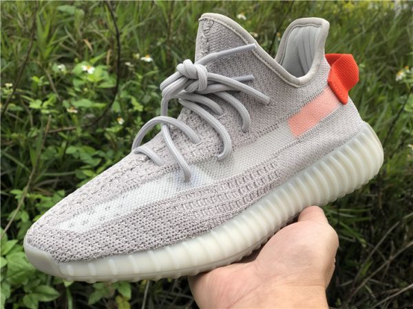 Tail Light adidas Yeezy Boost 350 V2 on hand