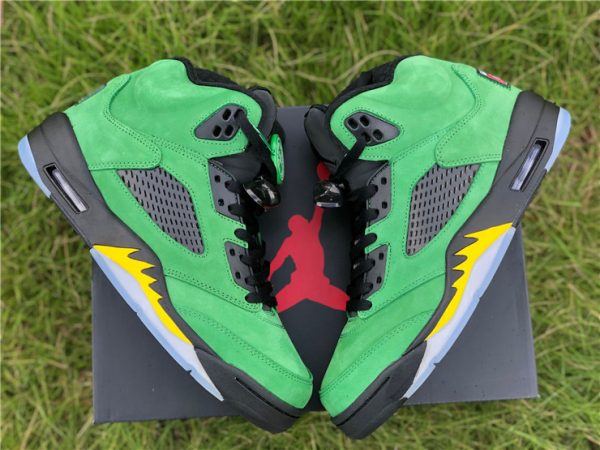 Air Jordan 5 SE Oregon Ducks panel