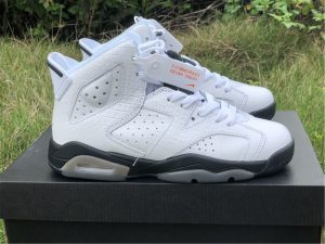 GS Air Jordan 6 VI Retro Alligator