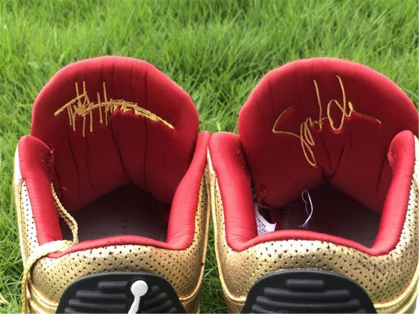 Air Jordan 3 JTH Gold Oscars inner