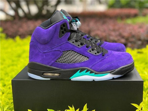 2020 Air Jordan 5 Retro Alternate Grape 136027-500