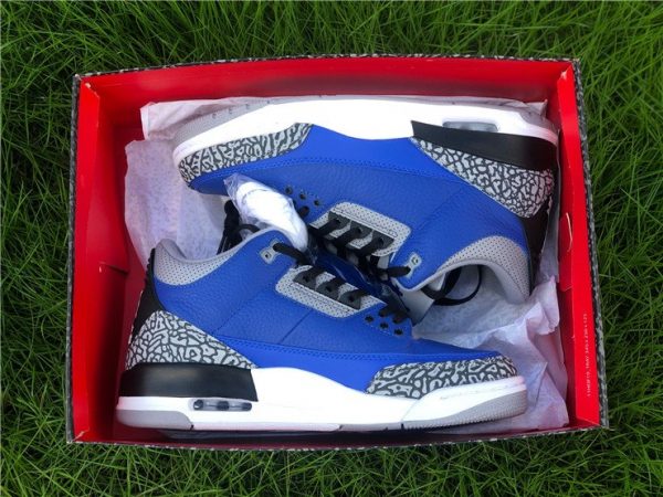 Air Jordan 3 Retro Varsity Royal Cement Pair