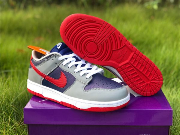 2020 Nike Dunk Low Samba bottom sole