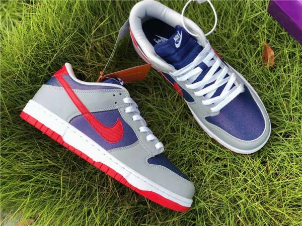 2020 Nike Dunk Low Samba sneaker