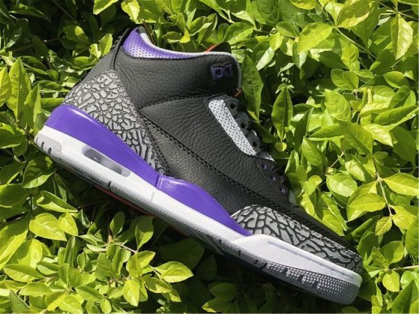 Air Jordan 3 Court Purple panel