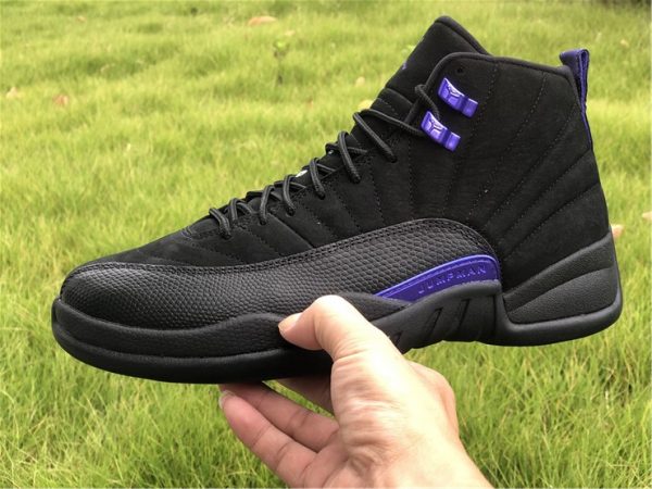 2020 Air Jordan 12 Dark Concord