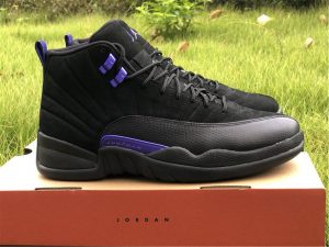 Air Jordan 12 Dark Concord