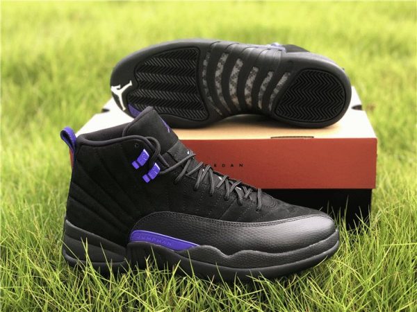 Air Jordan 12 Dark Concord black blue