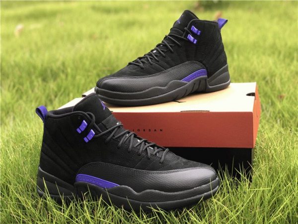 Air Jordan 12 Dark Concord flu blue black