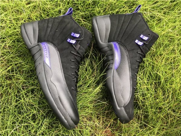 Air Jordan 12 Dark Concord panel