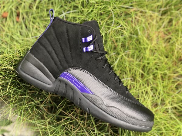 Air Jordan 12 Dark Concord purple