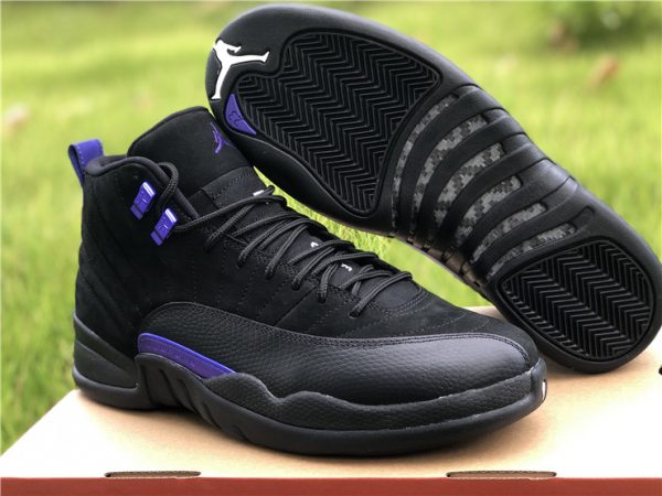 Air Jordan 12 Dark Concord shoes