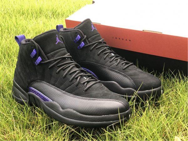 Air Jordan 12 Dark Concord sneaker