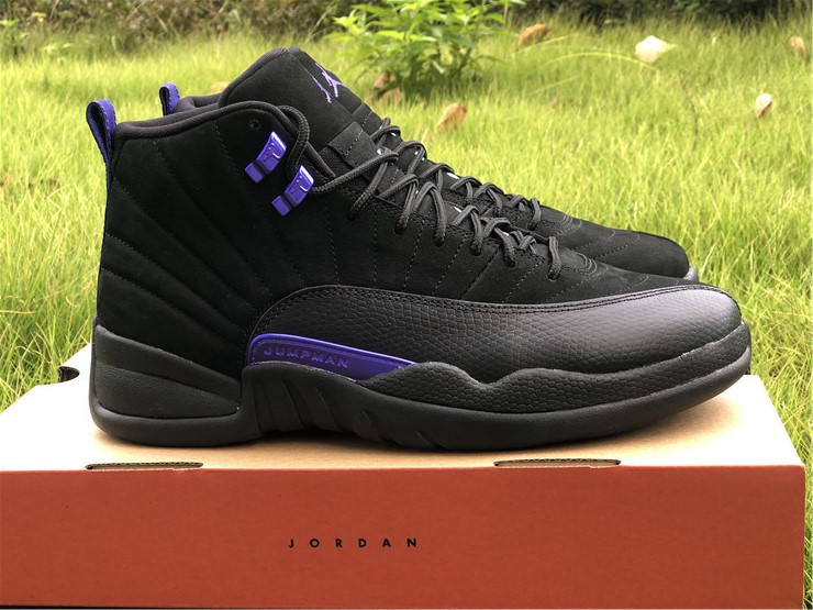 jordan 12 dark concord shirts