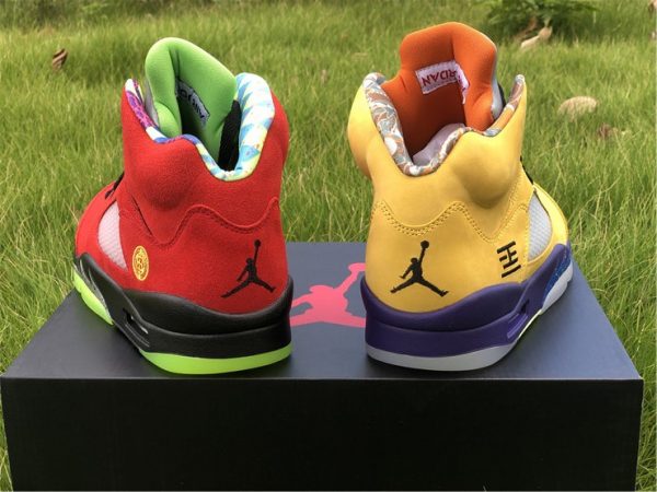 Air Jordan 5 SE What The heel