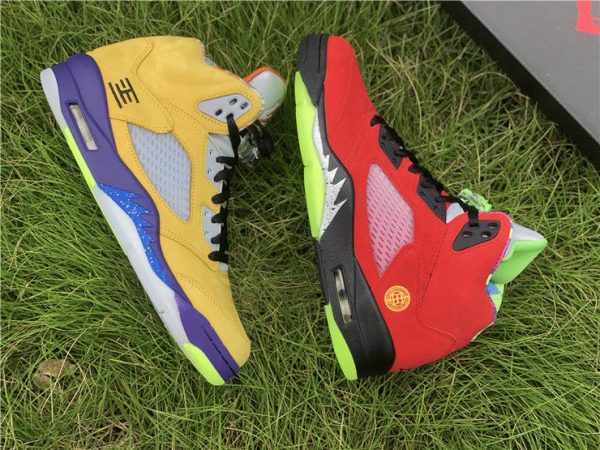 Air Jordan 5 SE What The panels